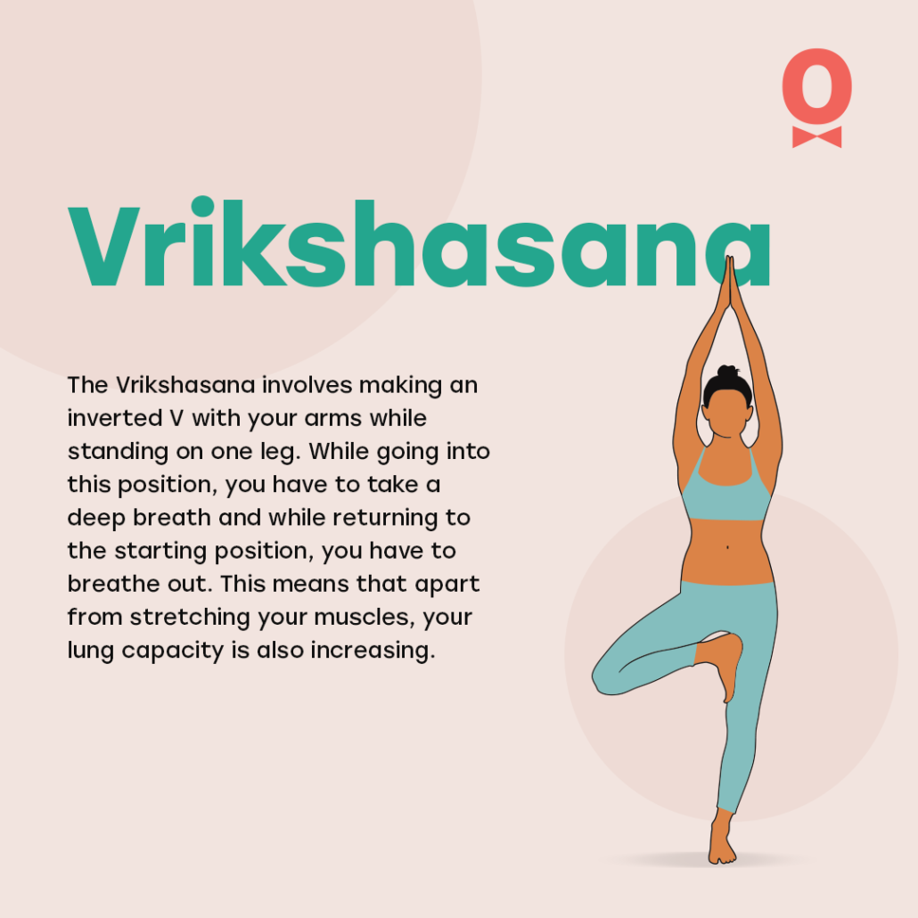 Samatva Medi Yoga - SARVANGASANA Shoulderstand, is an inverted asana in  modern yoga as exercise; similar poses were used in medieval hatha yoga.  Blood circulatory system, respiratory system and digestive system will